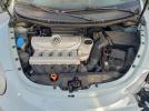 Volkswagen Beetle Image 12