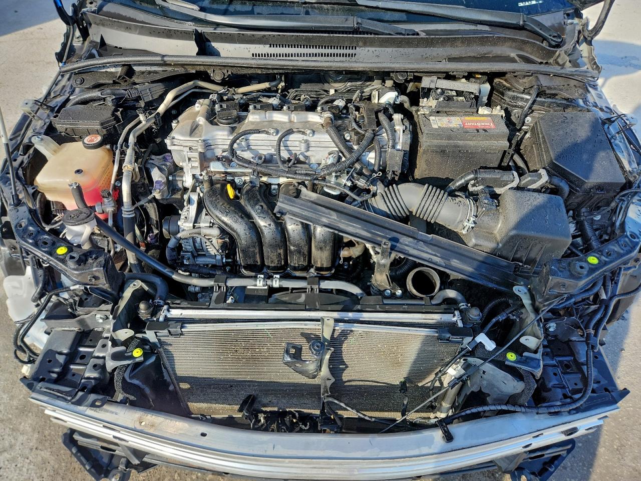 Toyota Corolla Le Image 11