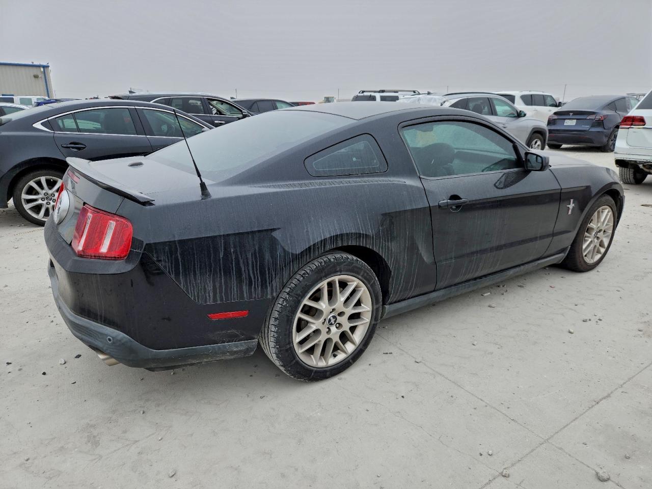 Ford Mustang Image 2