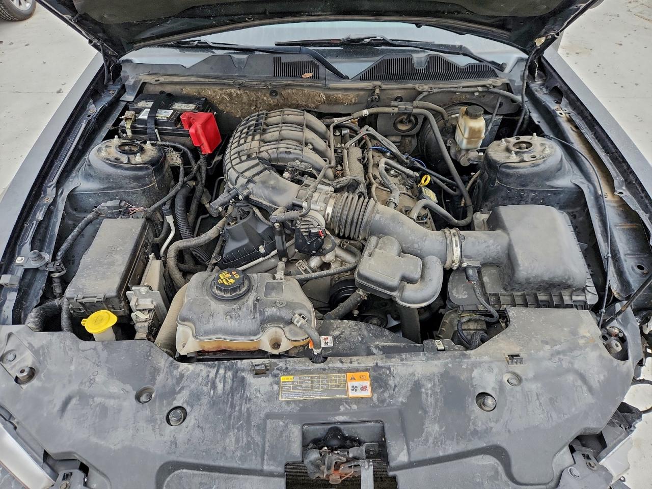 Ford Mustang Image 3