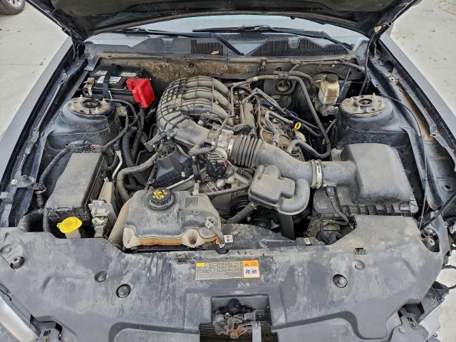 Ford Mustang Image 3