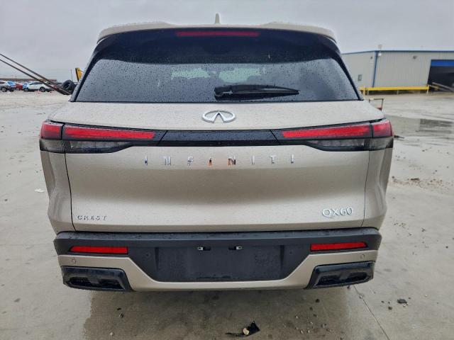 INFINITI Qx Luxe Image 10