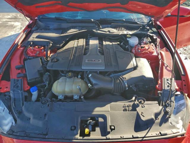 Ford Mustang Gt Image 12