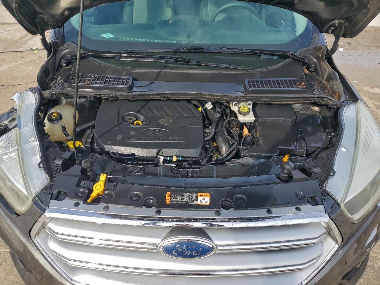 Ford Escape Se Image 11