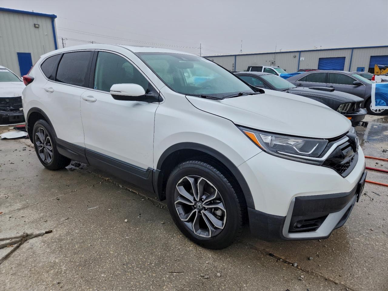 Honda Crv Exl Image 3