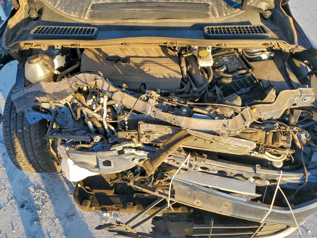 Ford Escape Se Image 14