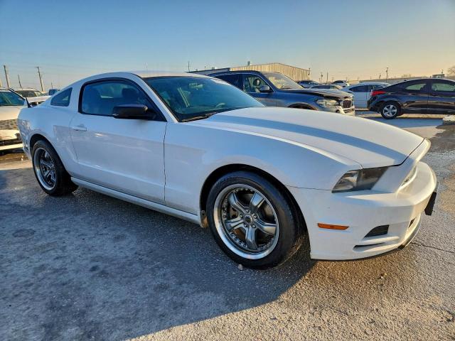 Ford Mustang Image 3