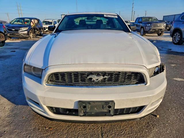 Ford Mustang Image 2