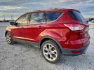 Ford Escape Titanium Image 9