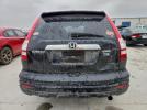 Honda Crv Exl Image 3