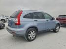 Honda Crv Ex Image 13