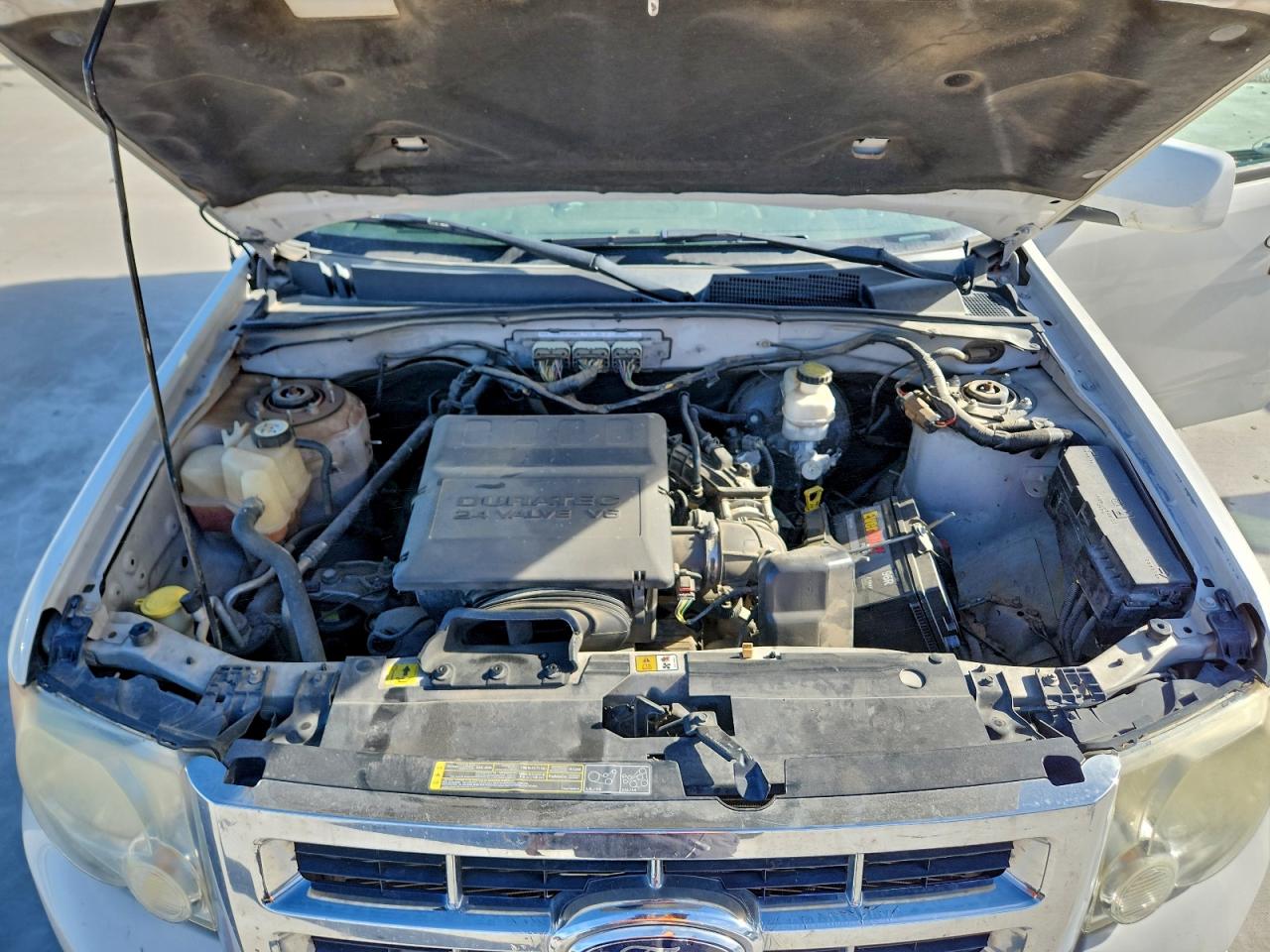 Ford Escape Limited Image 5